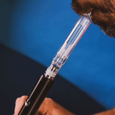 Eden Glass Bubbler Attachment